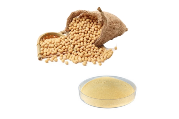 Soybean Seed Extract.jpg